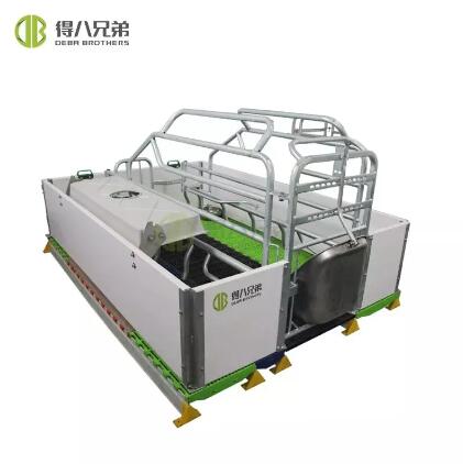 Success Stories: Transitioning to European-Style Farrowing Crates in Pig Farming