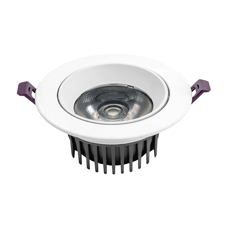 Why the Large Lens Downlight Is the Go-To Solution for Modern Lighting Projects