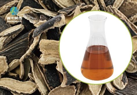 Which Ecklonia Maxima Extract from China Is Good?